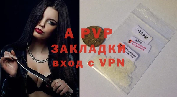 сатива Беломорск