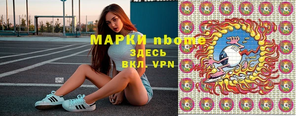 сатива Беломорск