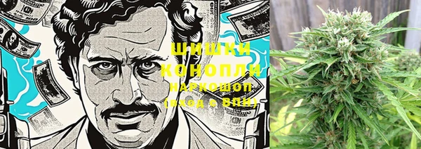 гидра Белоозёрский