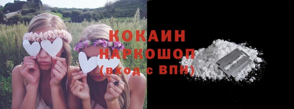 мяу мяу мука Белокуриха