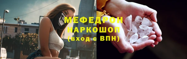 сатива Беломорск