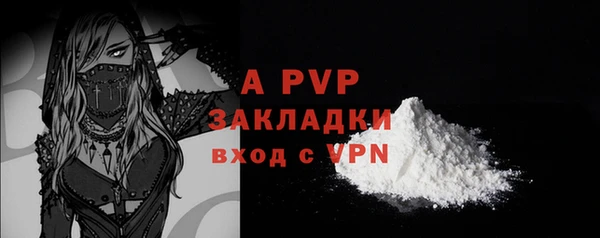 сатива Беломорск