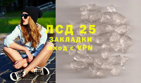 сатива Беломорск