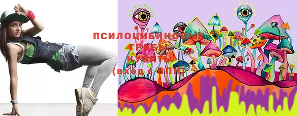 гидра Белоозёрский