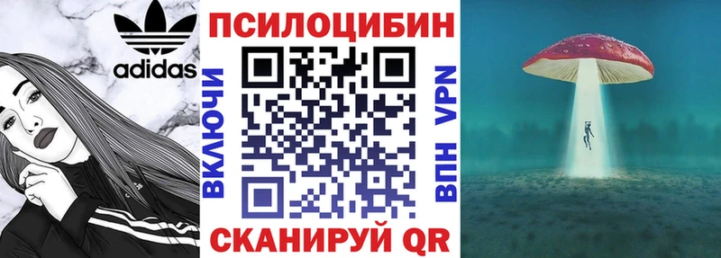 купить закладку Бикин Псилоцибиновые грибы прущие грибы